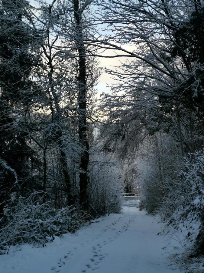 Kaban' Des Neiges Daire Saint-Gervais-les-Bains Dış mekan fotoğraf