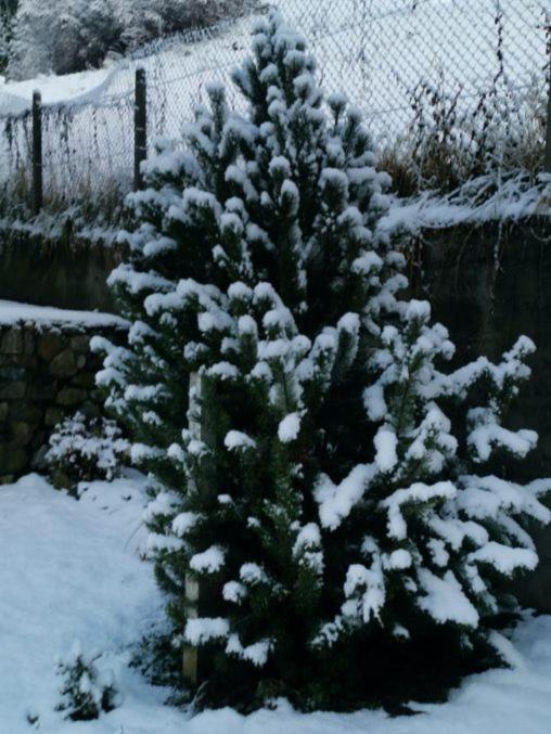 Kaban' Des Neiges Daire Saint-Gervais-les-Bains Dış mekan fotoğraf